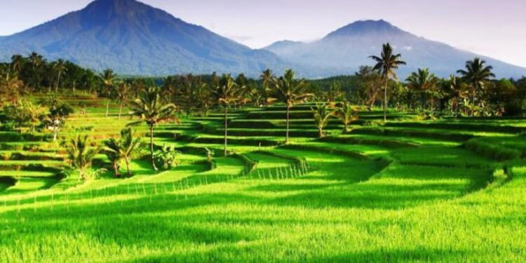 Desaku, Tetaplah Bergerak